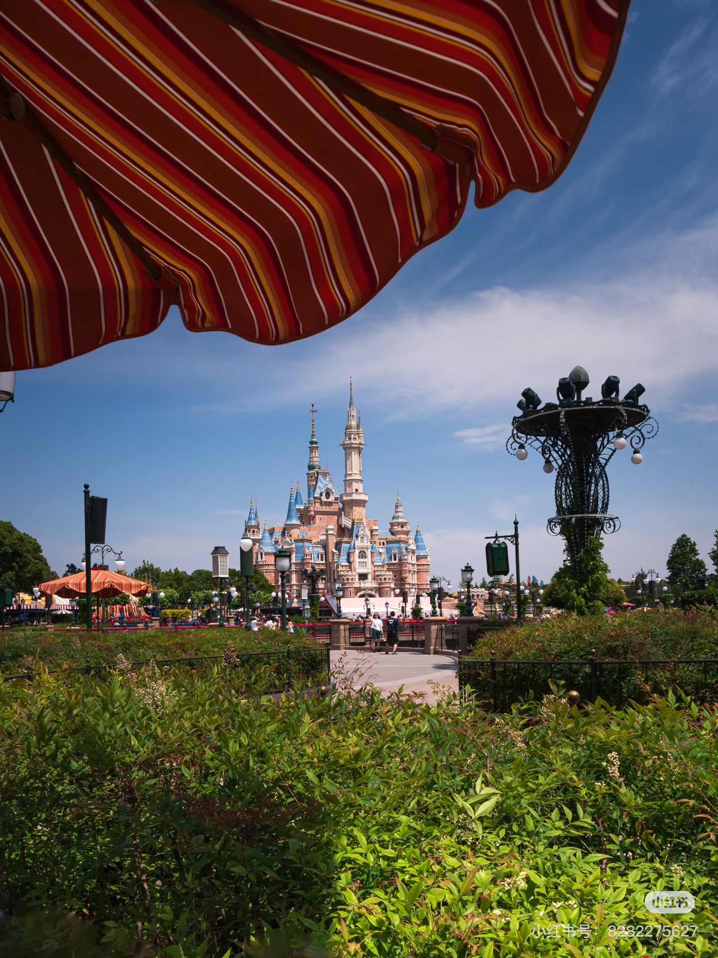 Disney2